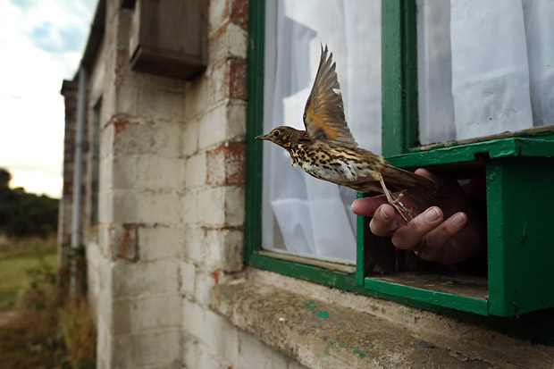 Фото с сайта конкурса theppy.com